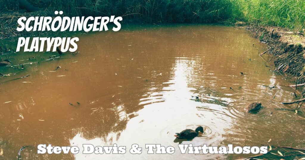 Schrödingers Platypus by Steve Davis & The Virtualosos